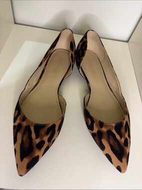 Leopard Print Pointed Toe Flats 9